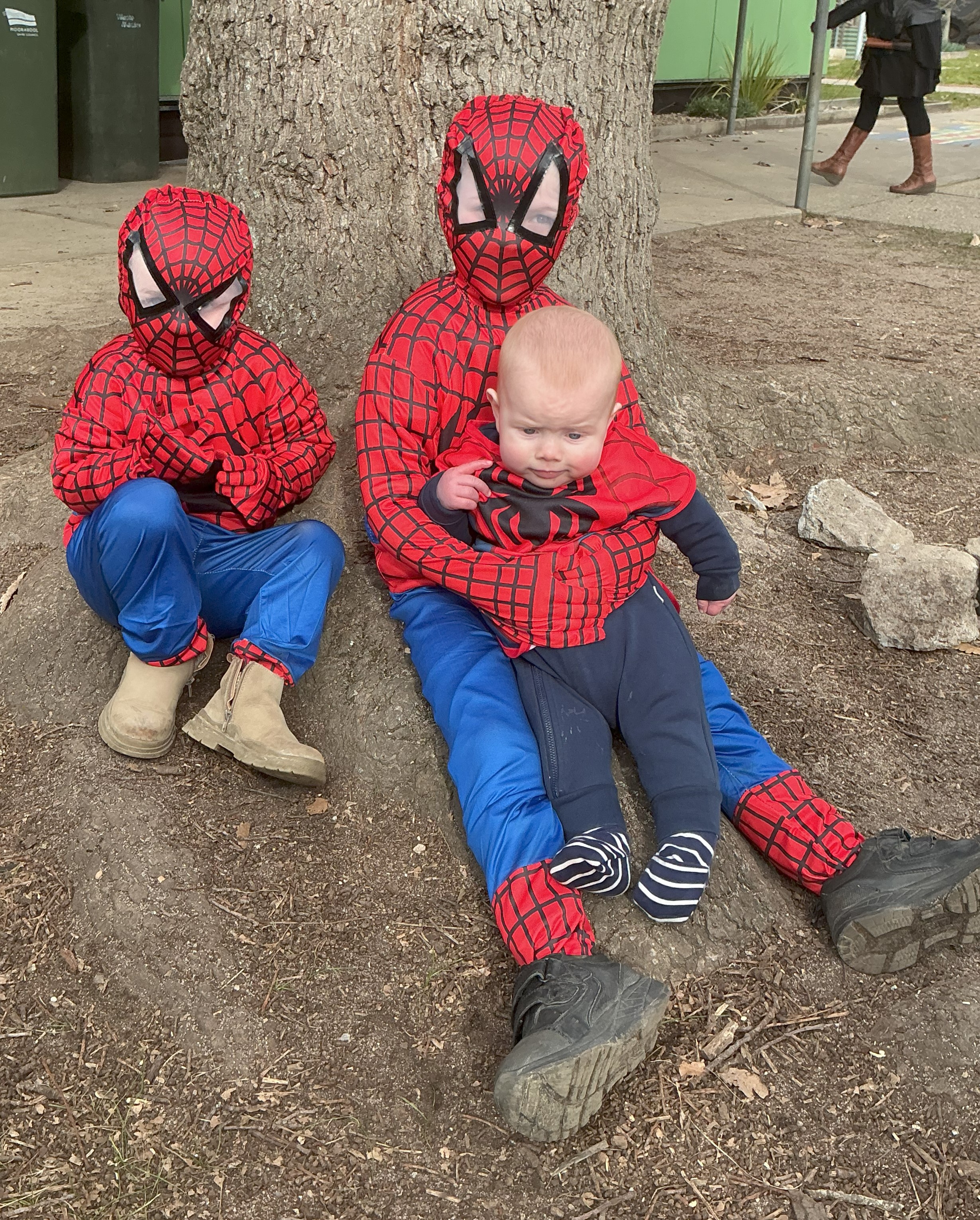 /uploaded_files/media/gallery/1758590780Spiderman .jpg